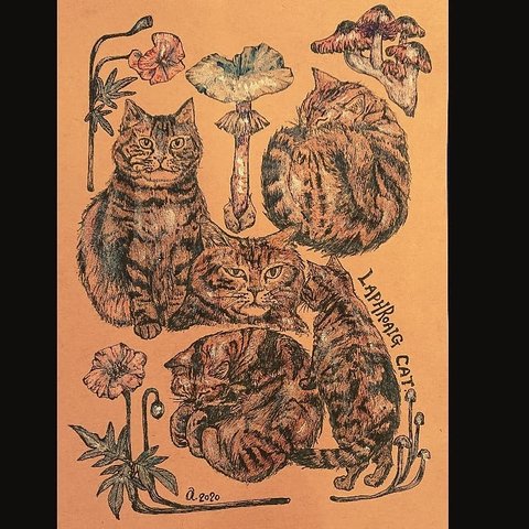 ネコ　猫　ねこ　きのこ　花　イラスト原画　A5サイズ　額付き