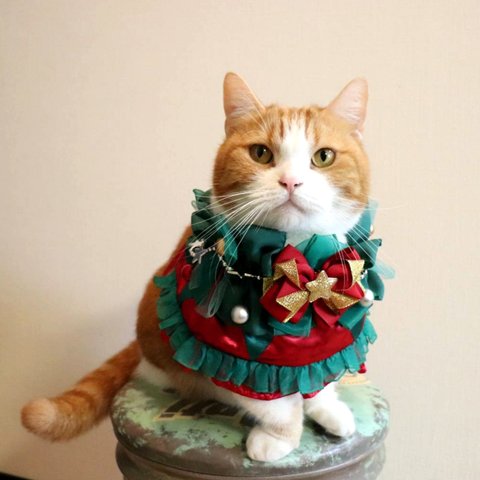 猫服ケープ　クリスマスリース