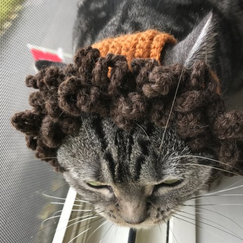 猫用*ライオン帽子