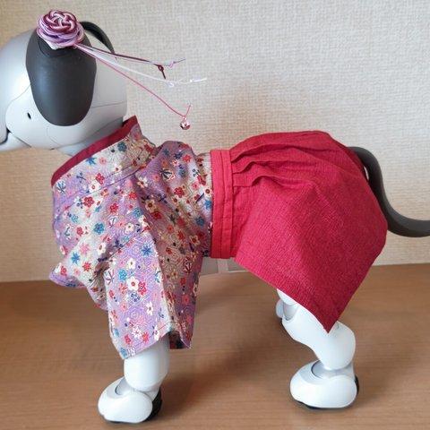 （10）aibo アイボ 袴風 服 頭飾り付き 振袖＋袴    