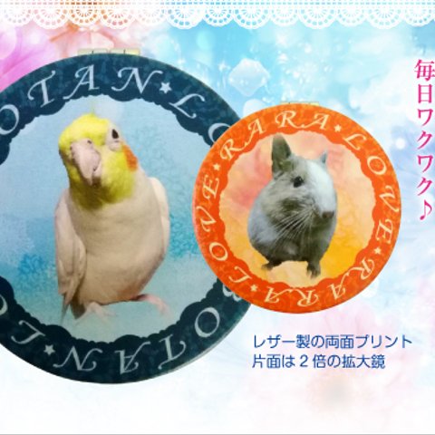 うちの子 鳥 猫 犬 うさぎ New オーダーメイド コンパクトミラー（両面印刷）