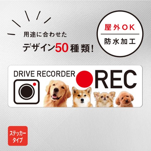 ドライブレコーダー 搭載 犬 猫 ステッカー 撮影中 危険運転撃退 シール おしゃれ いぬ 防水加工 雑貨 ドラレコ