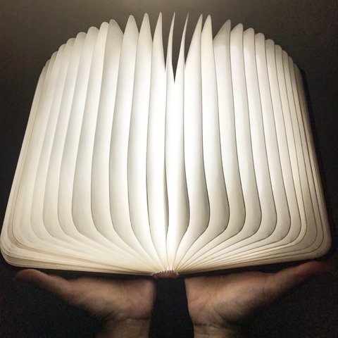 魔法の本　大　ブックライト　本のライト　５色LED