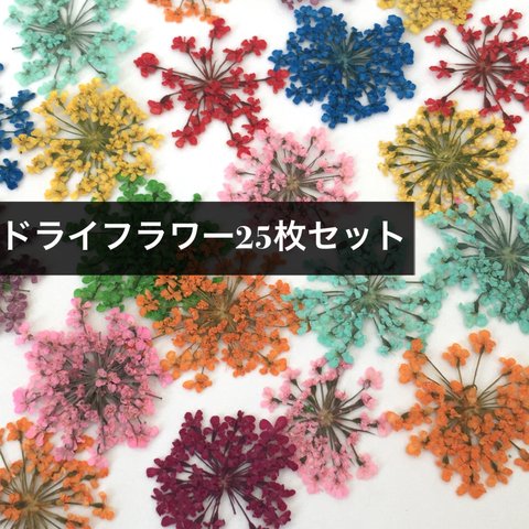 ネイル レースドライフラワー セット 押し花