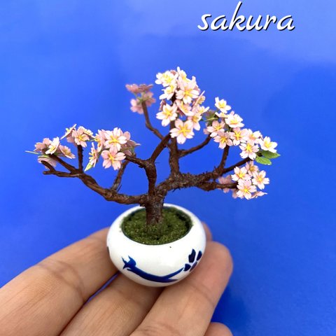 🌸ミニチュア桜🌸