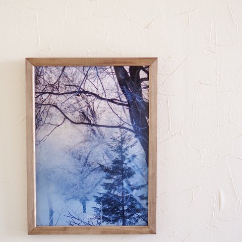 [再販] A4サイズ生写真(額付き) 静かな眠りの森 アートパネル