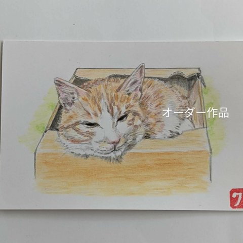 オーダー品　ペット似顔絵　ペットイラスト　猫イラスト　参考作品