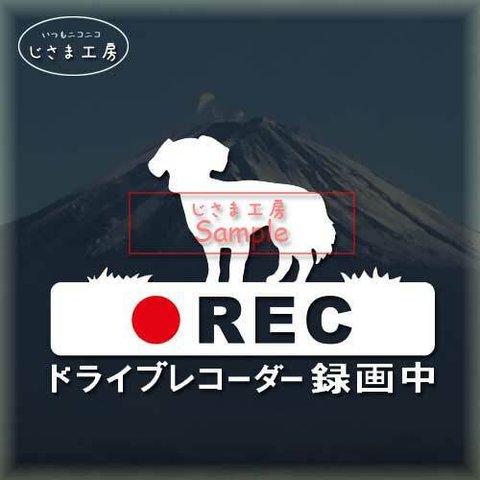 チワックス（尻尾ふさふさ）の白色シルエットステッカー煽り運転ドライブレコーダー録画中‼