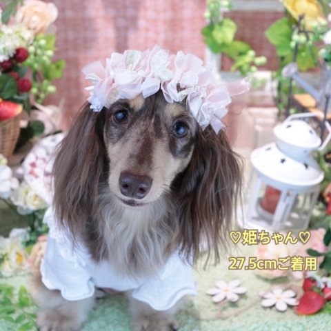 ペットちゃん用リボンクラウン ＊花柄＊ 20cm〜 花かんむり 花冠 わんちゃん 犬 ねこちゃん 猫