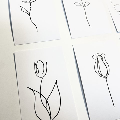 韓国風　花　シンプル　メッセージカード　アートポストカード　イラスト