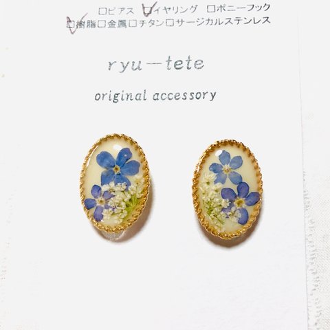 ✨新作✨勿忘草のレジンイヤリング、レジンピアス