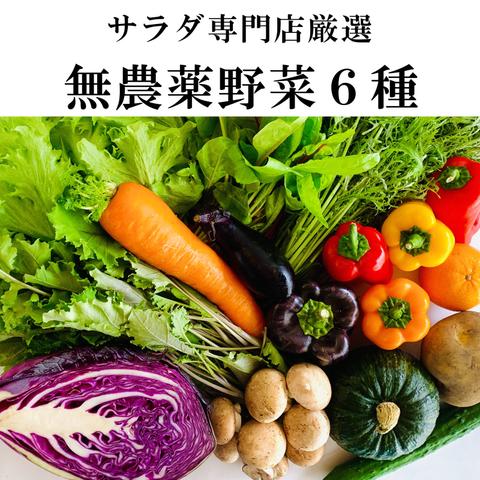 『無農薬・減農薬』野菜【６種】