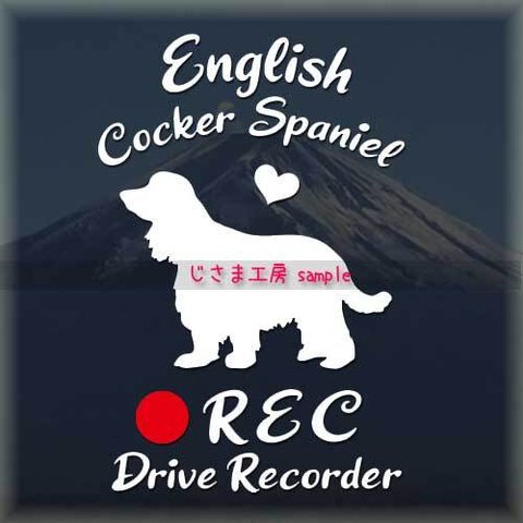 わんちゃんのかわいいドラレコステッカー　『DRIVE　RECORDER』