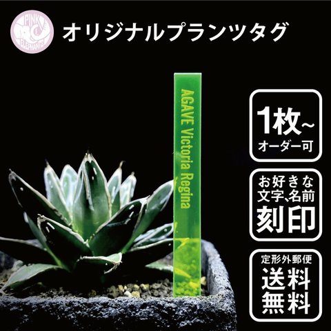 オリジナル蛍光プランツタグ　植物ネームプレート　園芸ラベル　ガーデニングラベル　植物タグ　蛍光