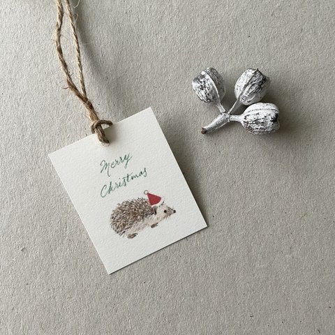 小さなはりねずみのクリスマスカード タグ 40枚