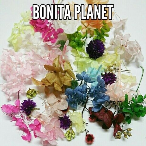 BONITA PLANET♥ハーバリウム自然素材♥お花畑お楽しみmix