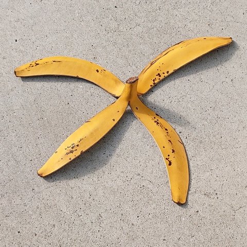 特別なバナナの革 ２