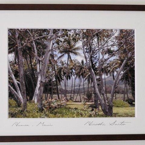 【本格木製額縁入りハワイ写真】HAMOA MAUI