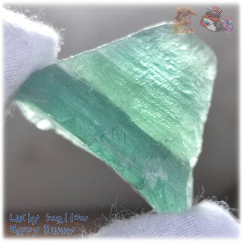 ◆ 地層型 グリーンフローライト 欠片 結晶 蛍石 原石 M17