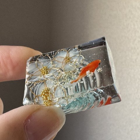  【2/25 21時～販売】波紋の金魚～桜ブルー(お写真のものをお届けします)
