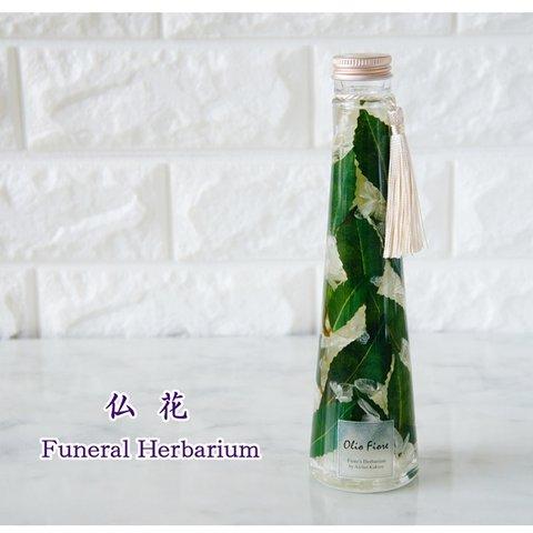 【 仏花 】お供え用ハーバリウム　ヒサカキ 和風 円すいボトル Ｌ 香花