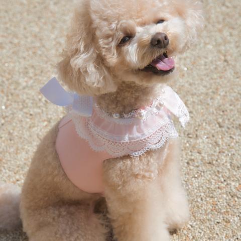 Lace Collar Harness + Leash (Flower Petal Pink)（XLサイズ）