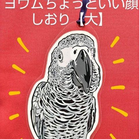 しおり【大】／ヨウムちょっといい顔