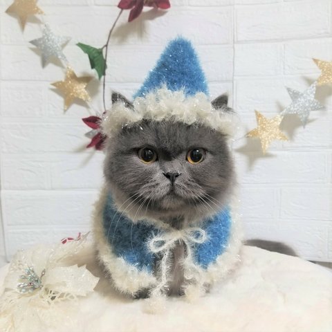  きらふわ🎅ブルーサンタ帽子🐱猫、小型犬用