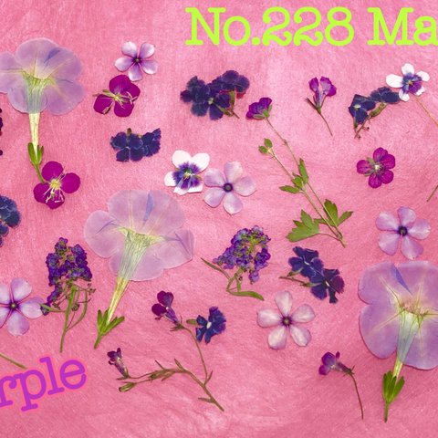 ♡押し花素材♡purple♡お花セット♡