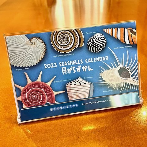 2023貝がら図鑑カレンダー