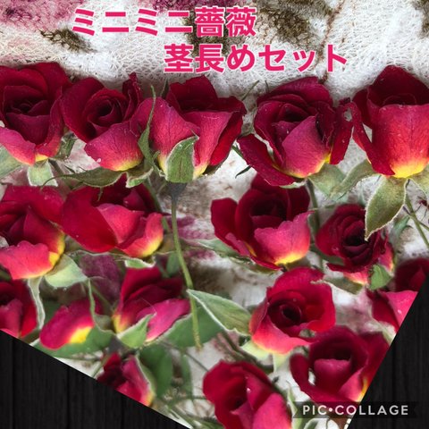 数量限定！ミニミニ薔薇（茎長め）15輪セット+おまけ1輪付き★小さめミニバラ★小さい花★赤色ピンク色★花弁　素材★