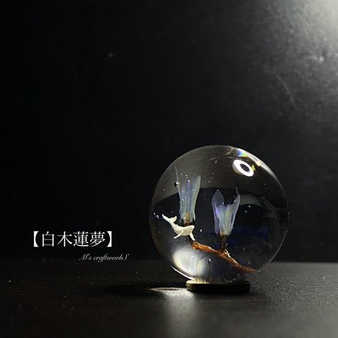 【白木蓮夢】25mm