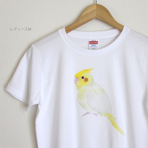 p-jet　オカメインコ （ルチノー） Tシャツ　/ 鳥　インコ 