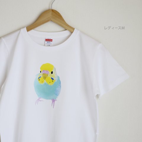 p-jet　セキセイインコ  （レインボー ろうまくピンク） Tシャツ　 / 鳥　インコ 