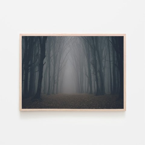 森と濃霧 / アートポスター 風景写真 アートプリント 自然 森林 forest foggy 白黒 モノクロ 横長 ハロウィン