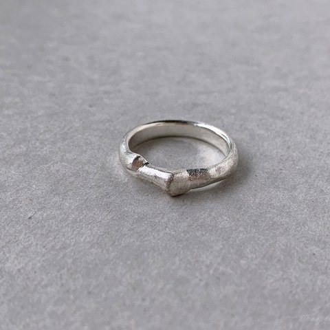 【Pt900】twig : Ring