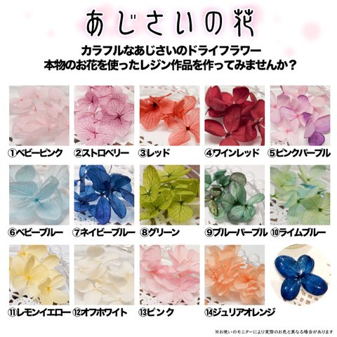 あじさいの花（プリザーブド紫陽花）2セット　/レジン/UVレジン/ハーバリウム