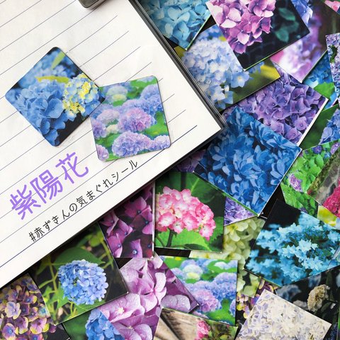 【再販2】－紫陽花－  赤ずきんの気まぐれシール(40枚入り)