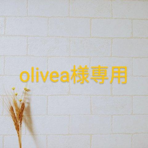 olivea様専用　レッスンバック&体操服袋&上靴入れ　３点セット　カラフルフラワー柄(ピンク)　女の子　北欧風　入学入園　