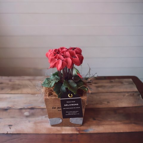 ◆粘土のお花◆　小さなシクラメン・レッド　ウッドプランター…S899