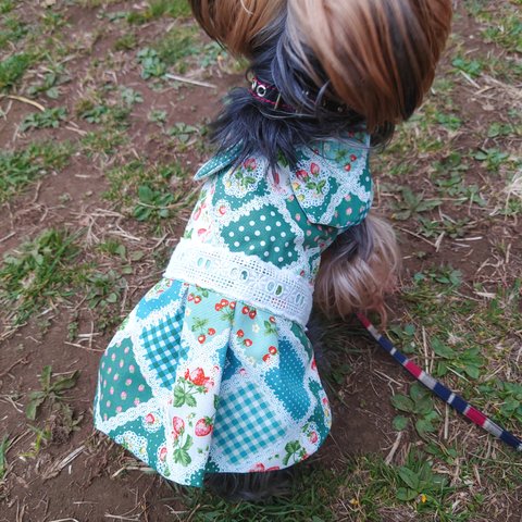 ●着せやすい犬服若草色のいちごパッチワーク柄のワンピース●オーダーメイド
