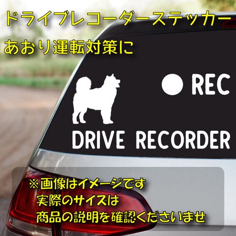 秋田犬　ドライブレコーダーステッカー 【dr039】