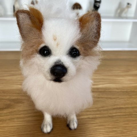 愛犬ちゃんのそっくりなリアルなペット人形をお作りします！　羊毛フェルト　犬　オーダー　ぬいぐるみ　愛犬　　ペット　リアル　人形