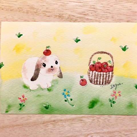 🐰透明水彩画「野原で遊ぶロップイヤー」  イラストポストカード 2枚セット　うさぎ　ウサギ🐰