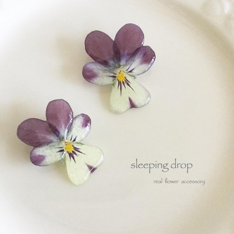 viola single brooch (ぴょんぴょんビオラ)