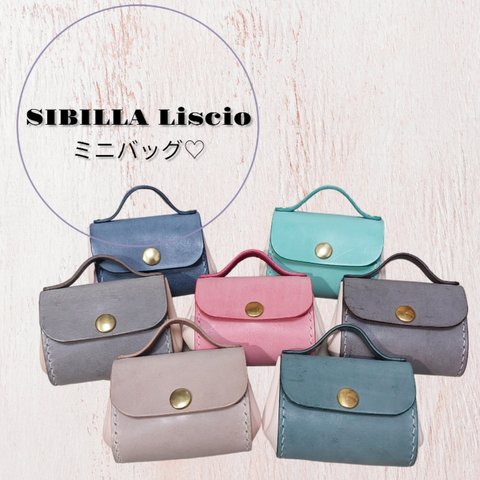 SIBILLA Liscio シビラ・リスシオ バッグ型 小物入れ/ポーチ