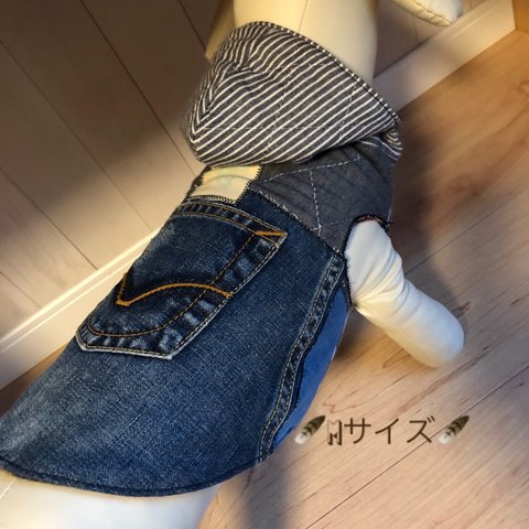 ✰︎denimだワンのonlyone✰︎