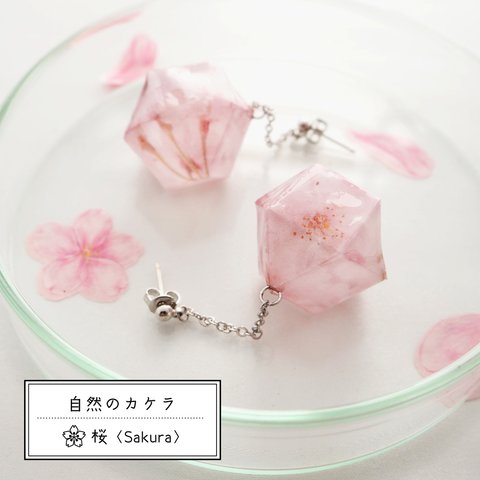 自然のカケラ ピアス 桜 Sakura 六角形 ＜イヤリング交換可＞