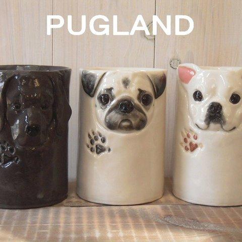 ＰＵＧＬＡＮＤ ２０１８年 ３月