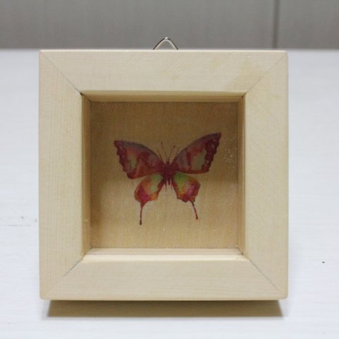 蝶の小箱